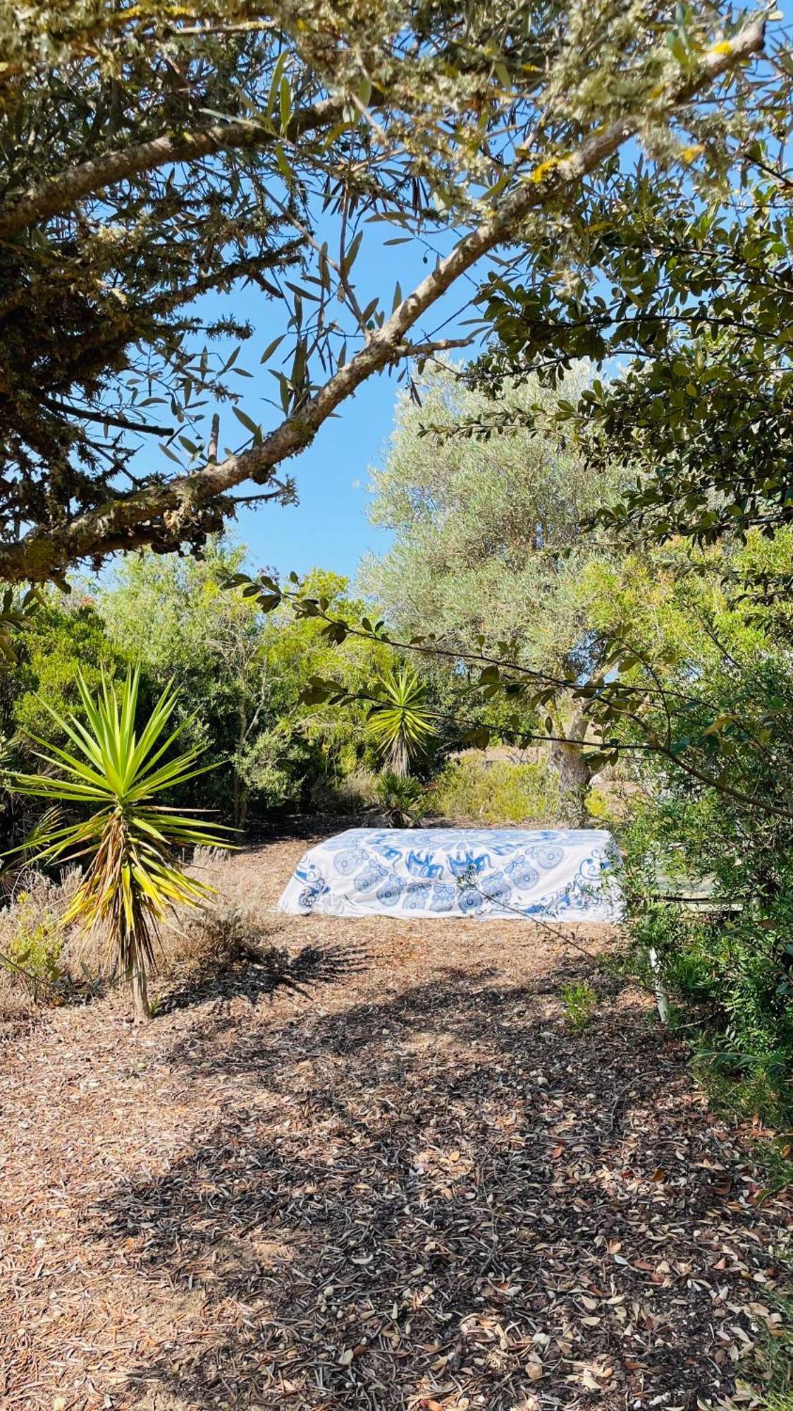 Dona Maria 66 Villa Praia Da Luz Bagian luar foto
